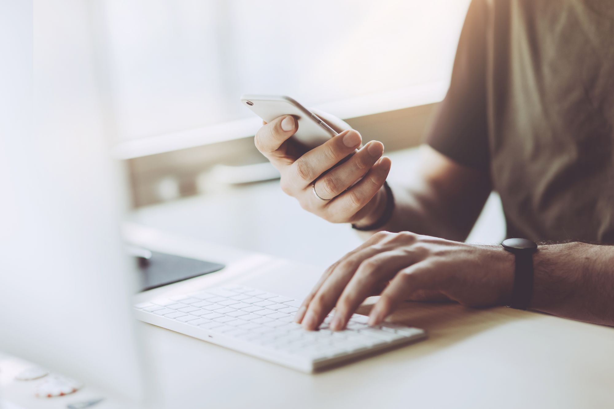 手機網站建設園林植物主題網站